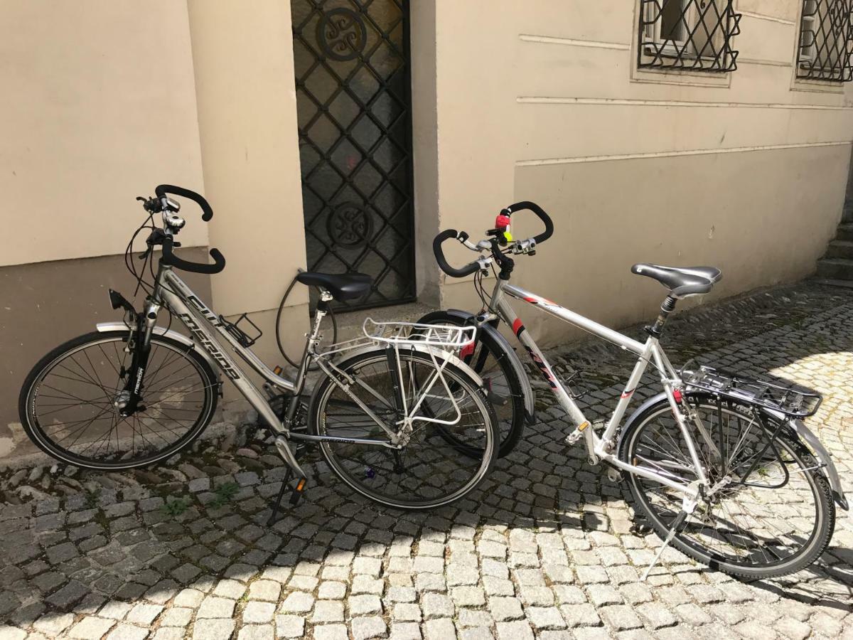 Lovely Flat In A Lovely City Steyr Eksteriør billede